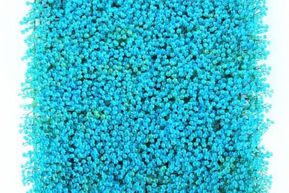 HTB11A6sjRjTBKNjSZFuq6z0HFXaB