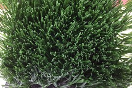 Football Grass Super W