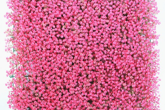 HTB1T_HSjVooBKNjSZFPq6xa2XXaf