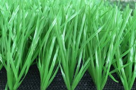 FOOTBALL GRASS SPINE SHAPE