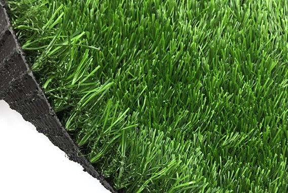 _0000_QQ图片20170302172553